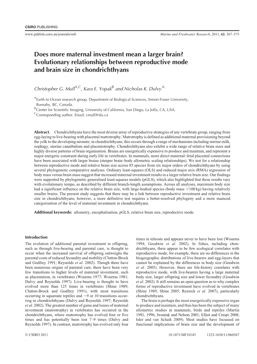 Evolutionary Relationships Between Reproductive Mode and Brain Size in Chondrichthyans