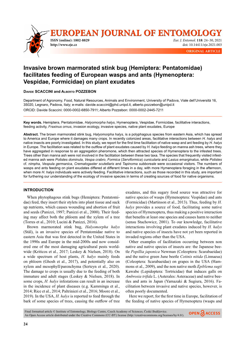 Invasive Brown Marmorated Stink Bug (Hemiptera: Pentatomidae) Facilitates Feeding of European Wasps and Ants (Hymenoptera: Vespidae, Formicidae) on Plant Exudates