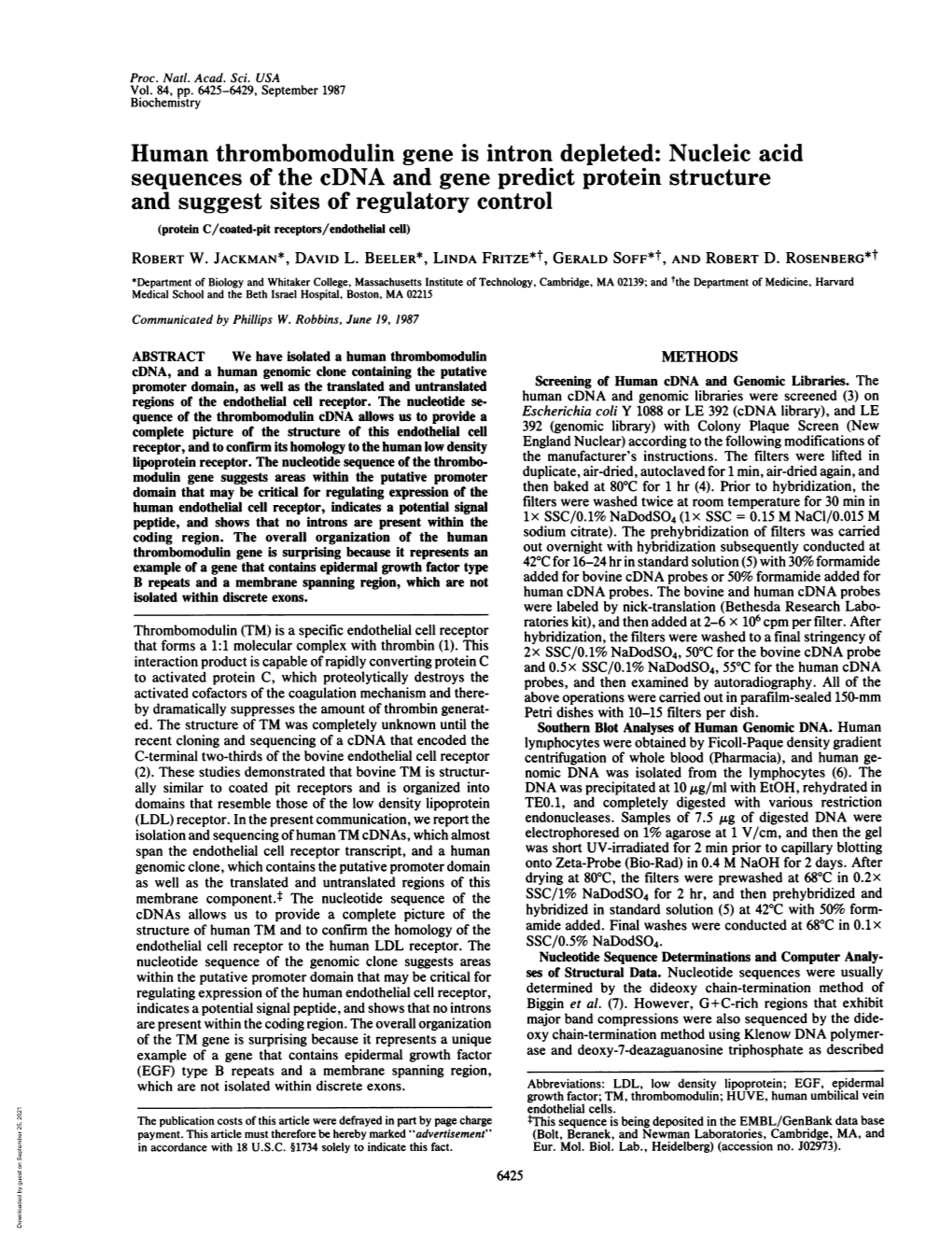 Human Thrombomodulin Gene Is Intron Depleted