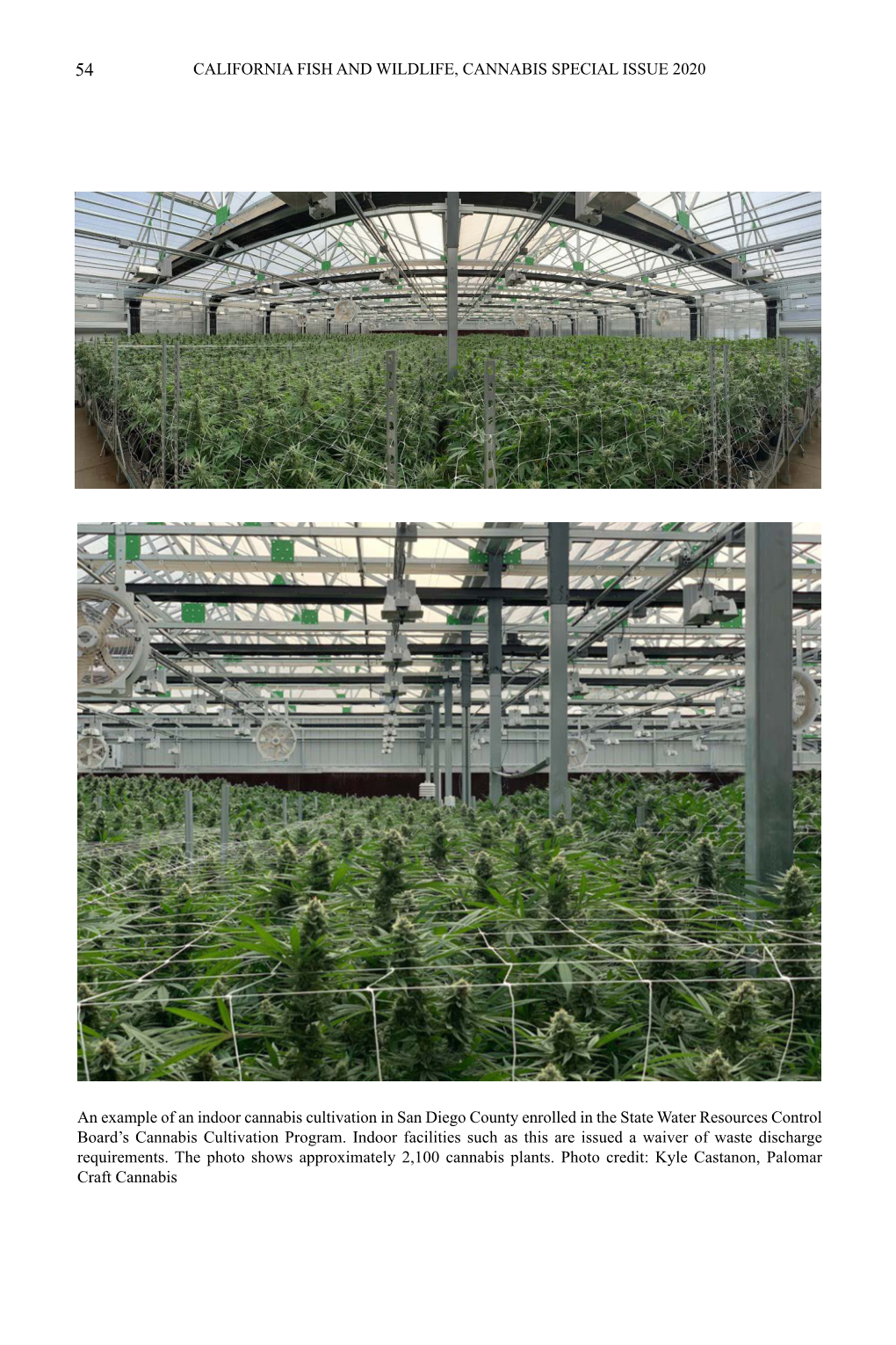 Implementing the Cannabis Cultivation Policy in Southern Coastal California