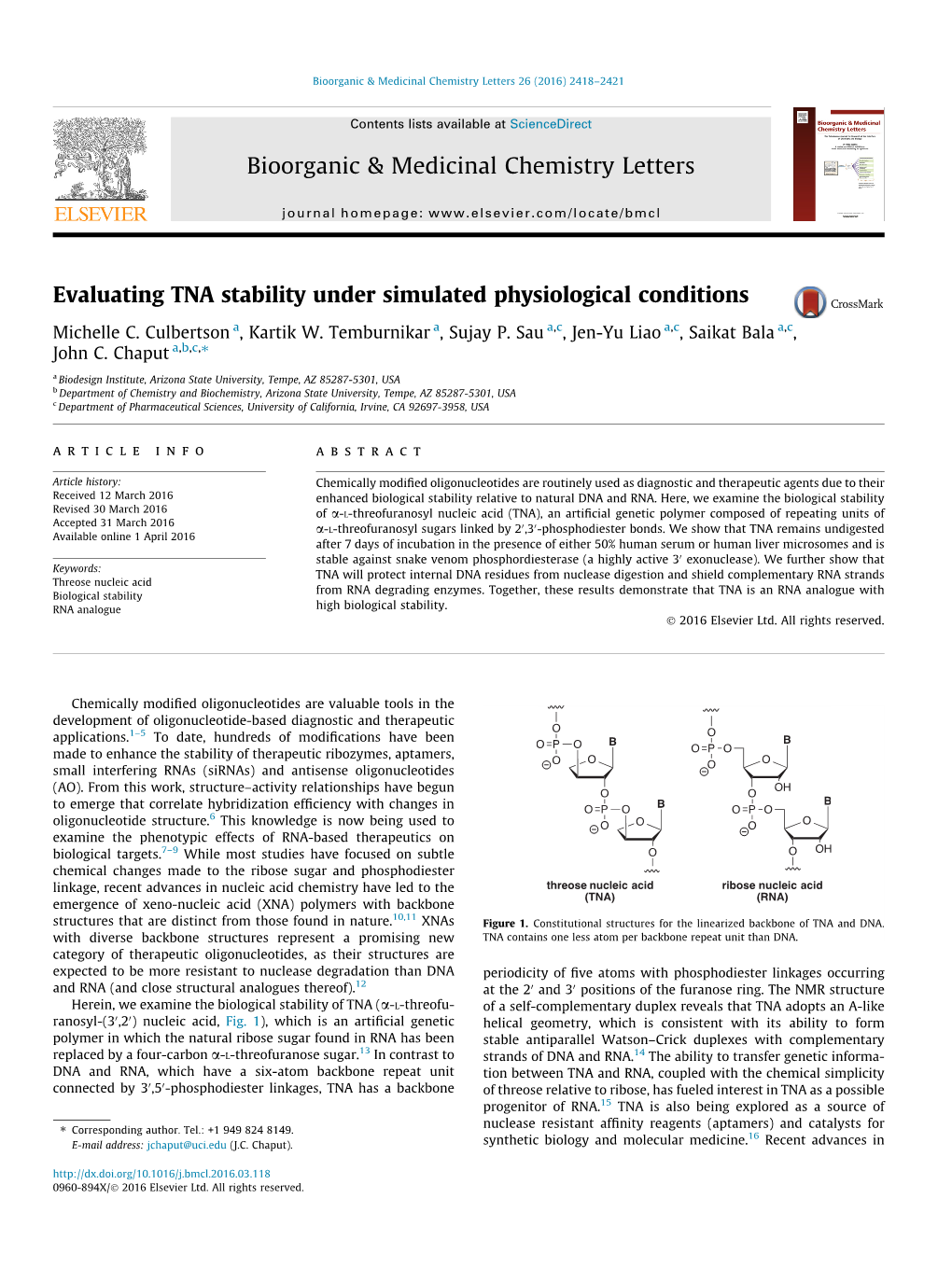 Evaluating TNA Stability Under Simulated Physiological Conditions