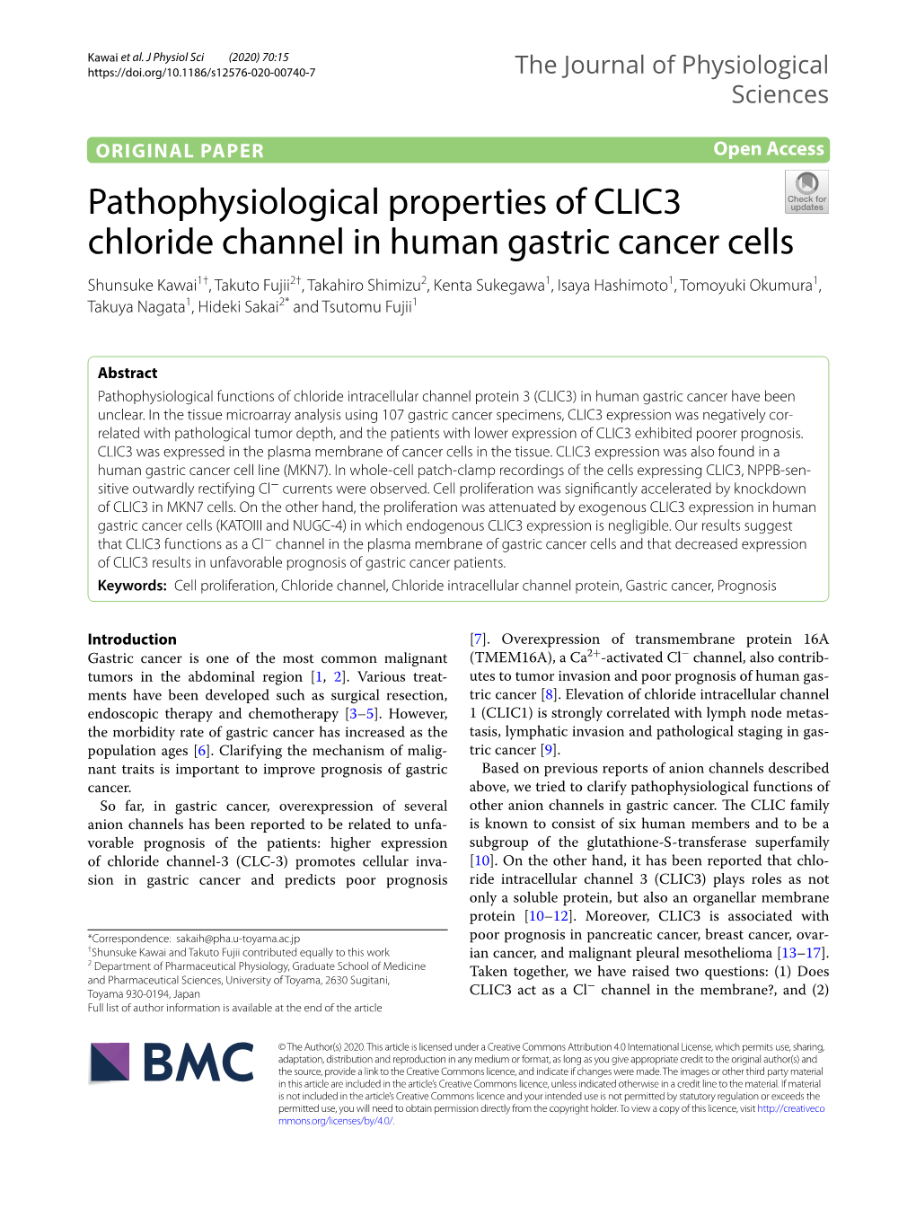 Pathophysiological Properties of CLIC3 Chloride Channel in Human