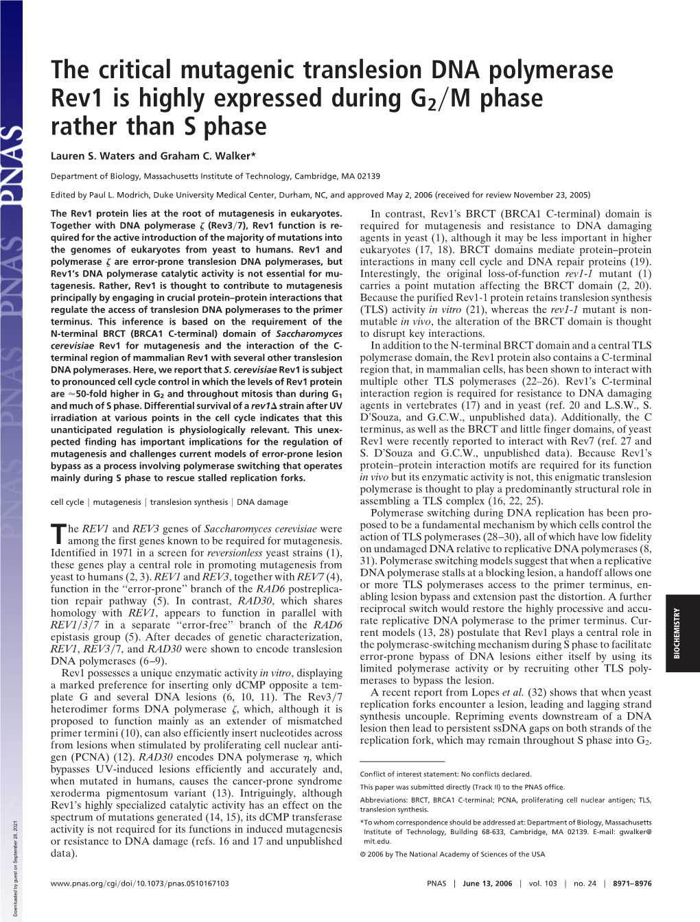 The Critical Mutagenic Translesion DNA Polymerase Rev1 Is Highly Expressed During G2͞M Phase Rather Than S Phase