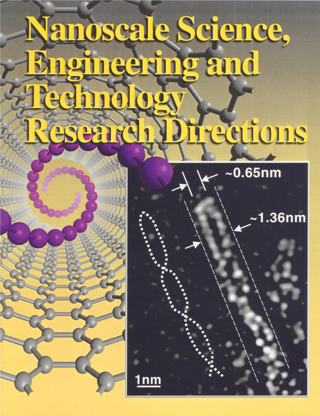 Nanoscale Science, Engineering and Technology