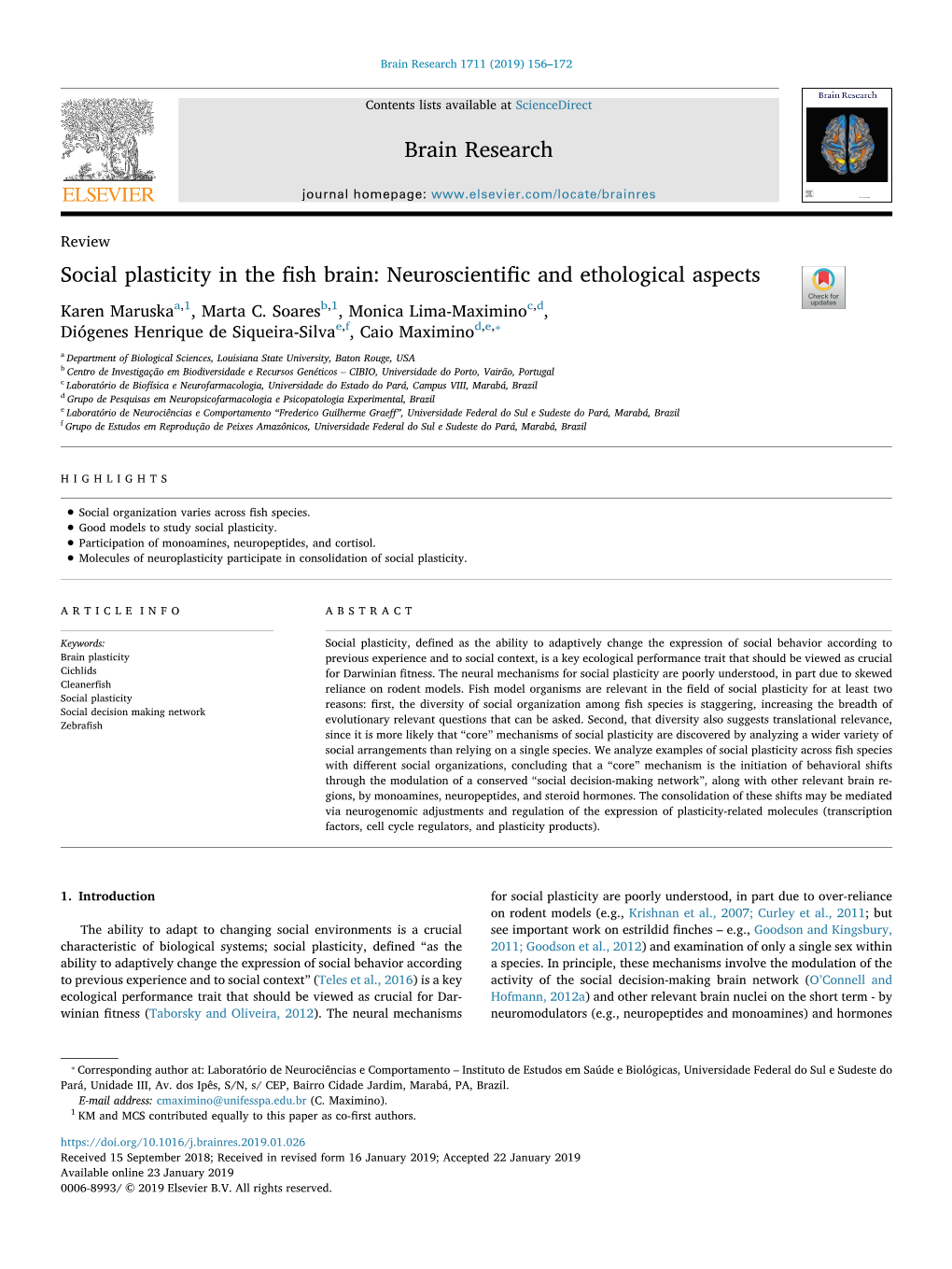 Social Plasticity in the Fish Brain Neuroscientific and Ethological