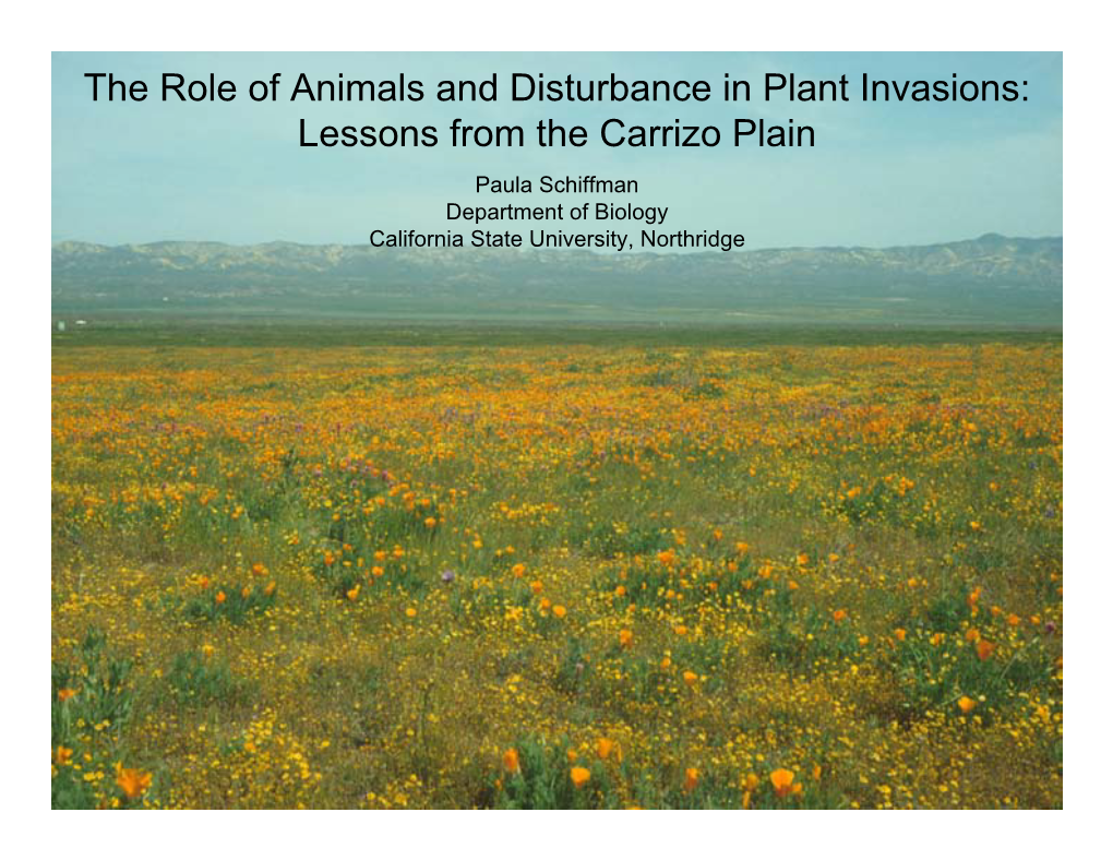 Lessons from the Carrizo Plain