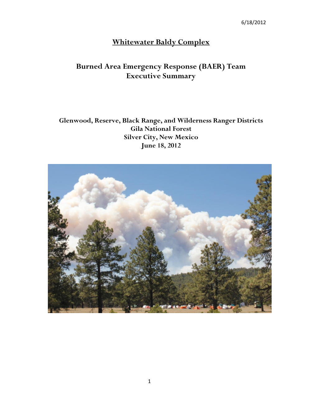 Whitewater Baldy Complex Burned Area Emergency Response (BAER) Team Executive Summary