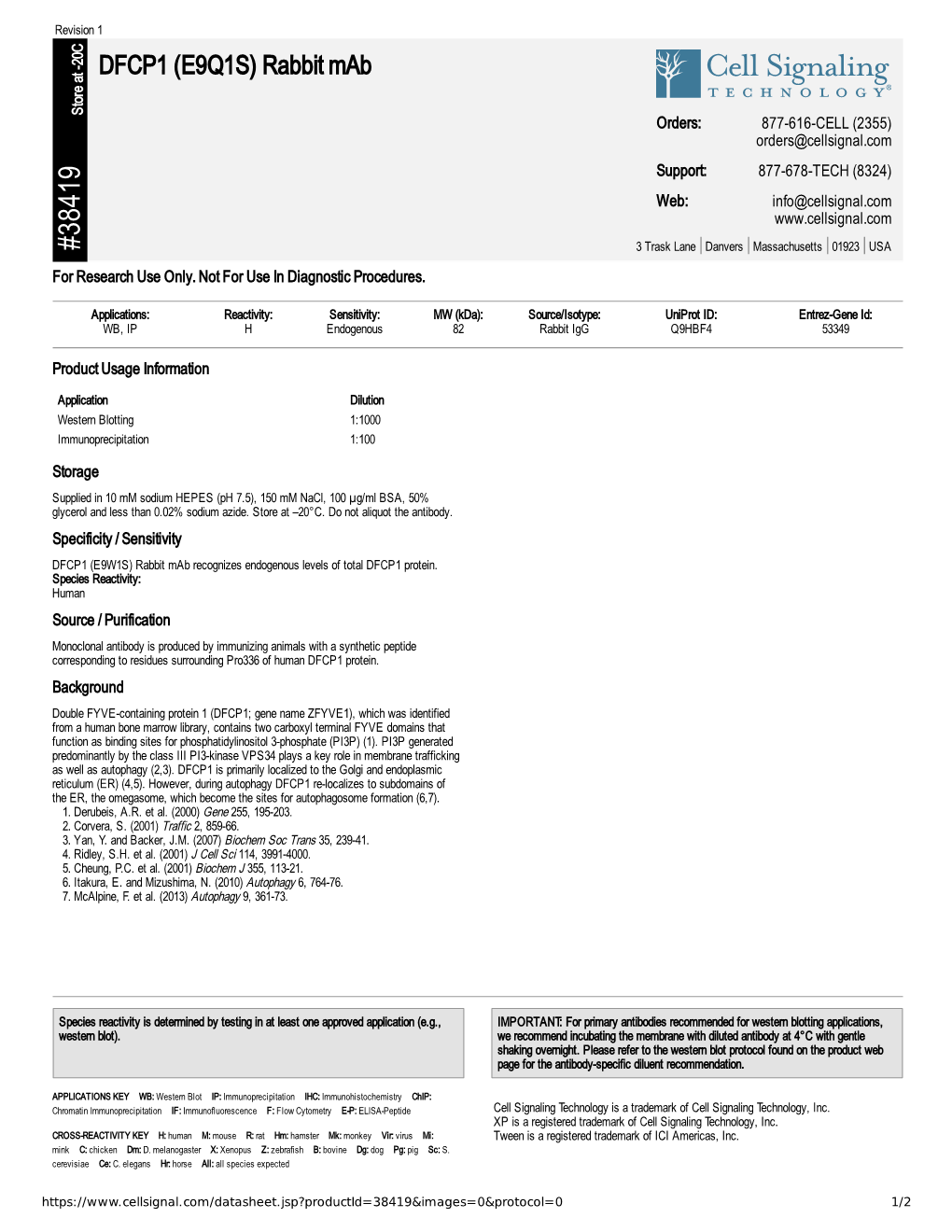 38419 DFCP1 (E9Q1S) Rabbit Mab