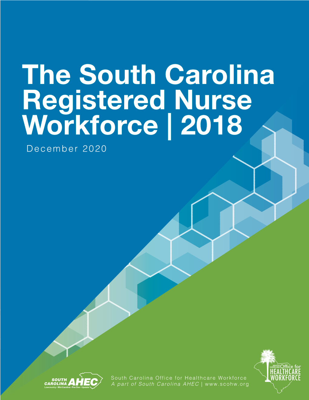 The South Carolina Registered Nurse Workforce 2018