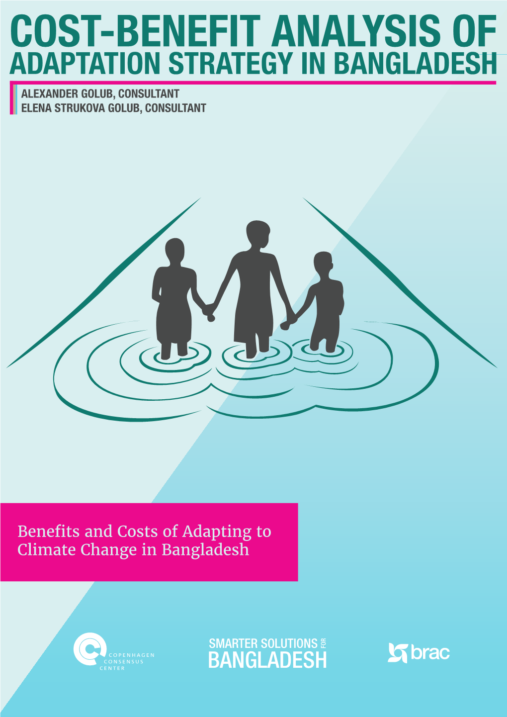 Cost-Benefit Analysis of Adaptation Strategy in Bangladesh Alexander Golub, Consultant Elena Strukova Golub, Consultant