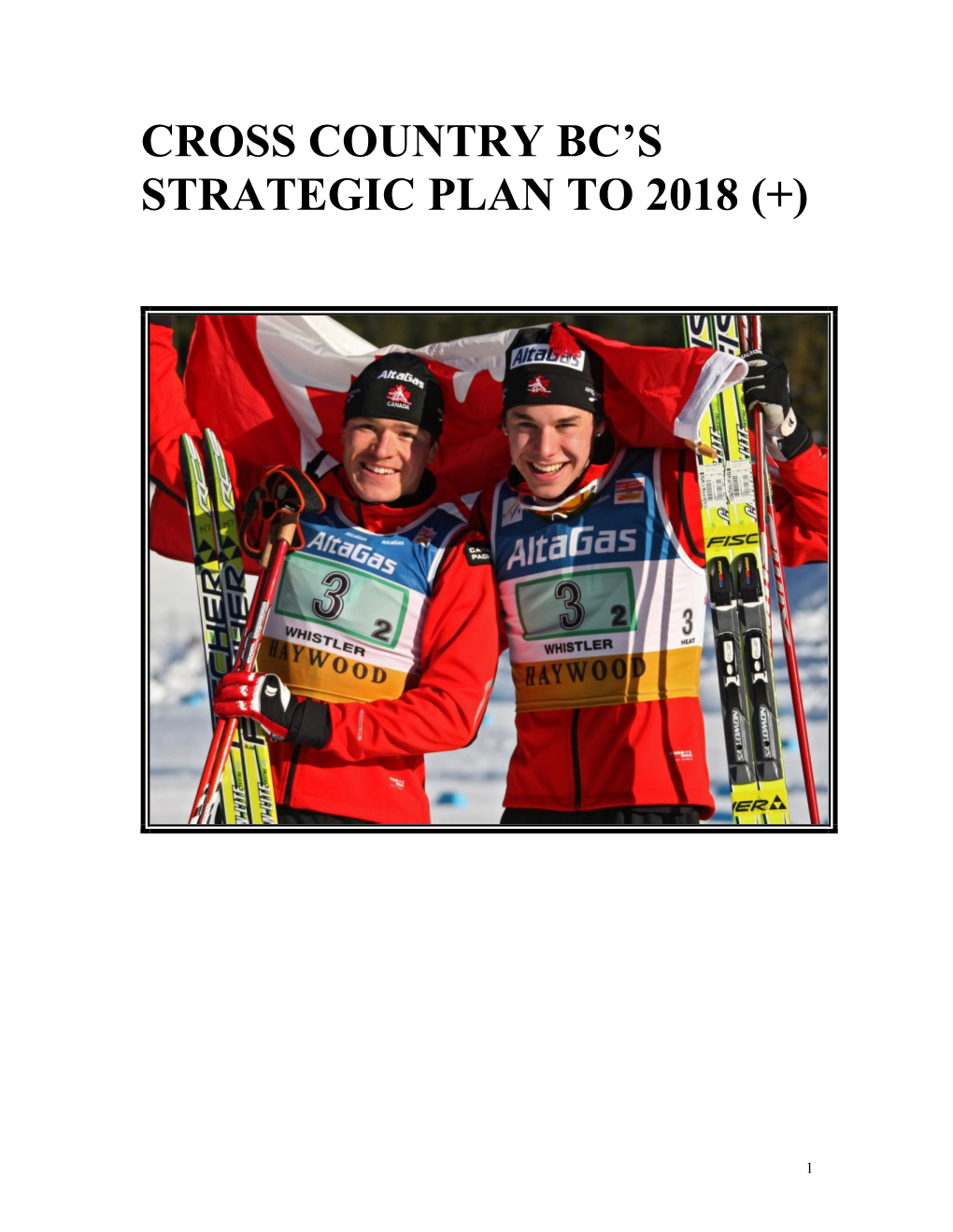 Strategic Plan to 2018 (+)