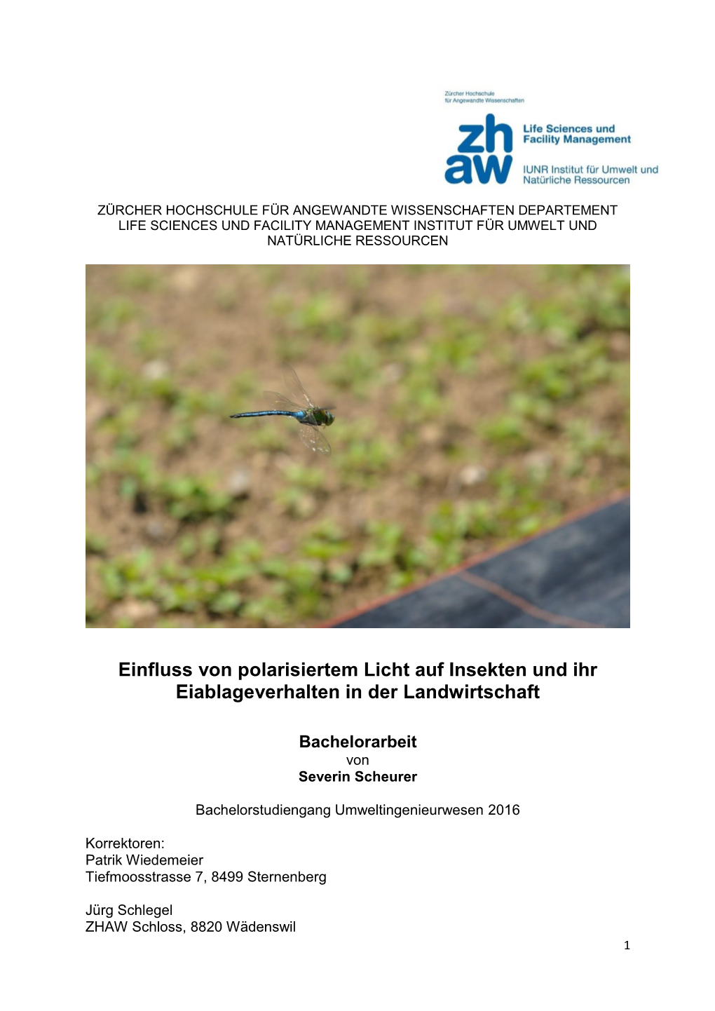 Einfluss Von Polarisiertem Licht Auf Insekten Und Ihr Eiablageverhalten in Der Landwirtschaft