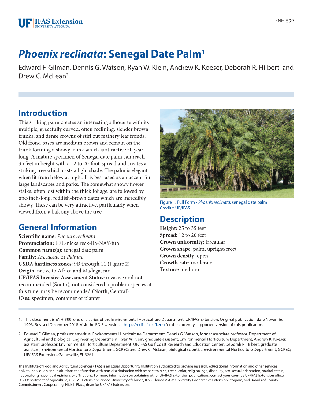 Phoenix Reclinata: Senegal Date Palm1 Edward F