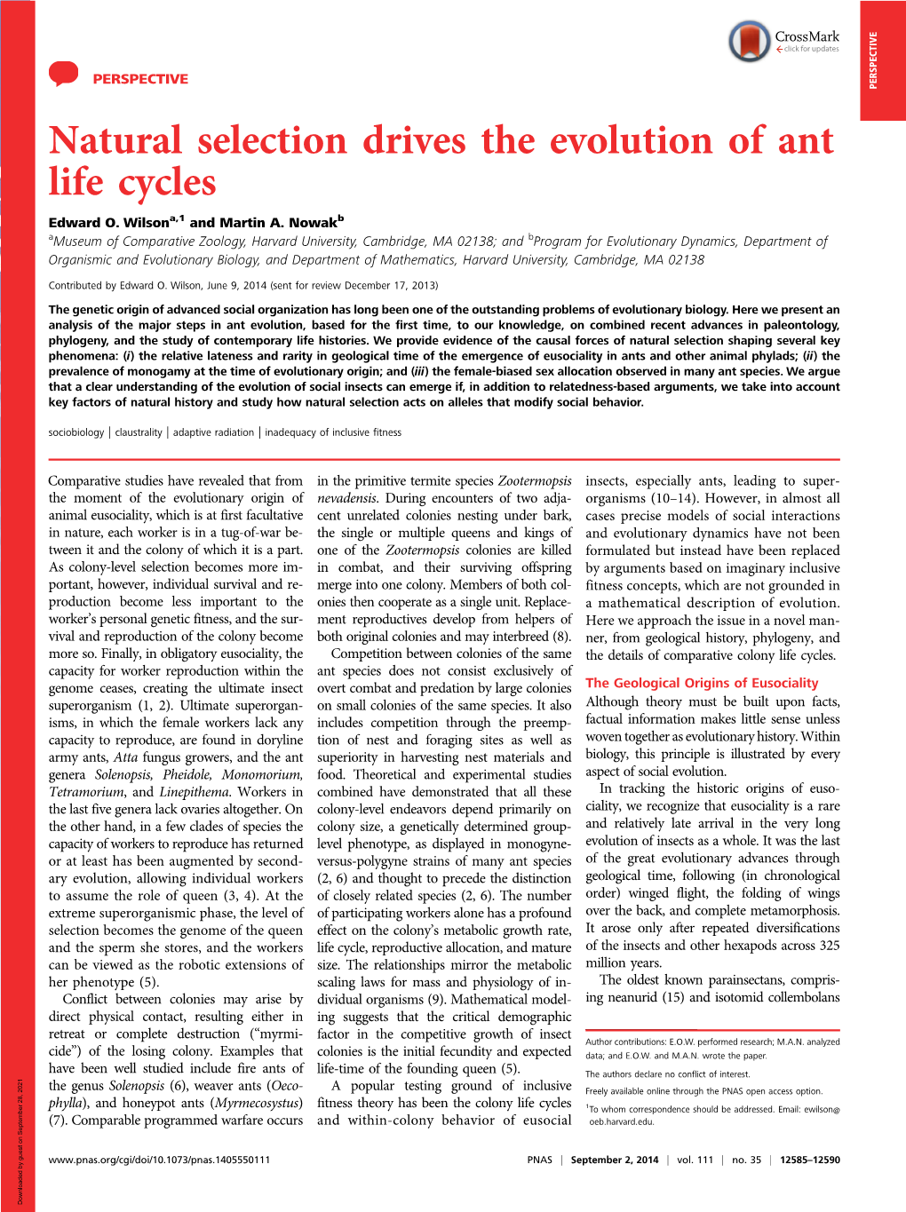 Natural Selection Drives the Evolution of Ant Life Cycles