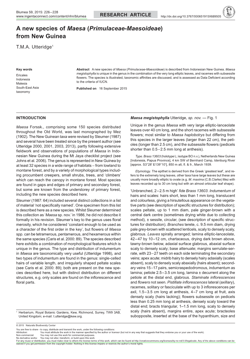 A New Species of <I>Maesa</I> (<I>Primulaceae-Maesoideae</I>)