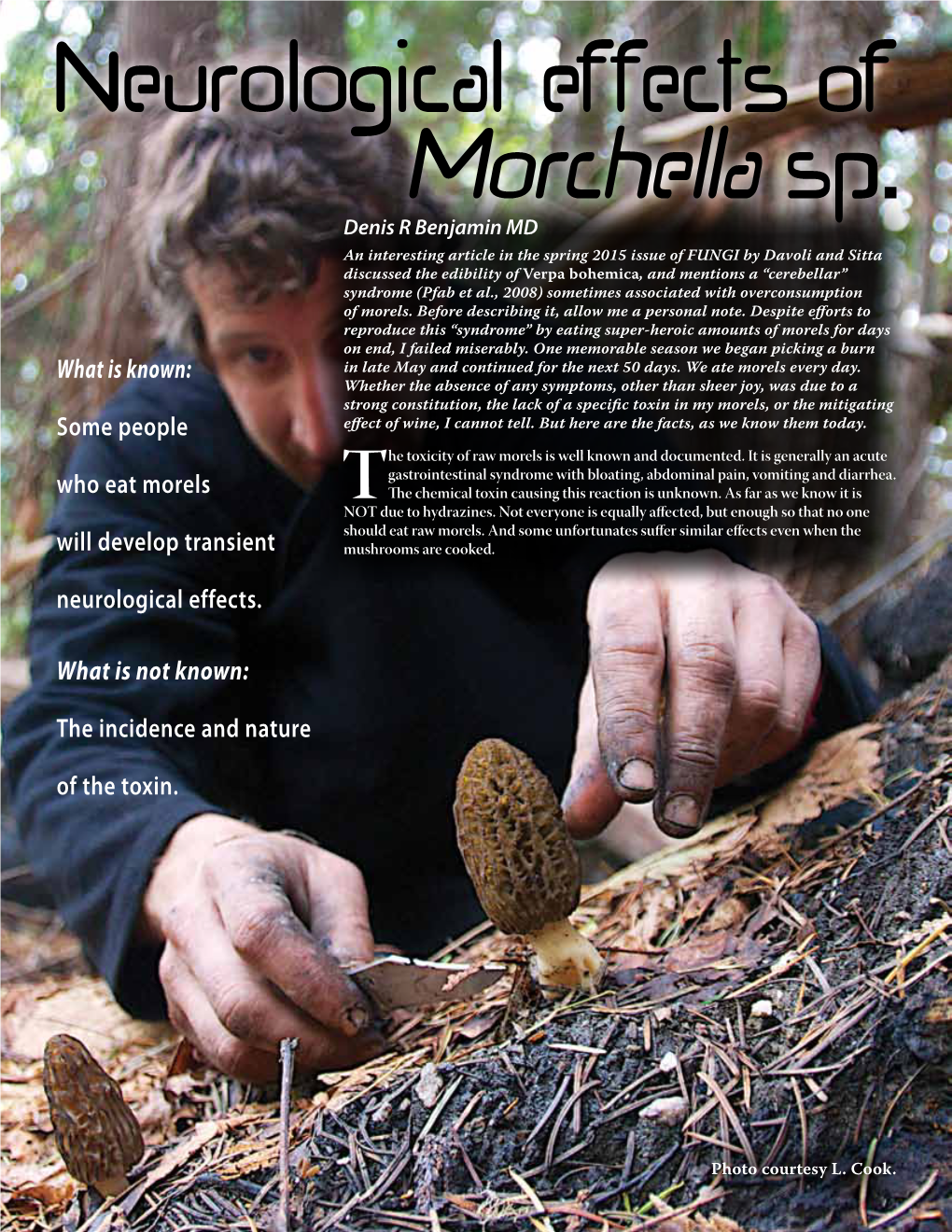 Some People Who Eat Morels Will Develop Transient Neurological Effects, with the Onset Around 12 Hours