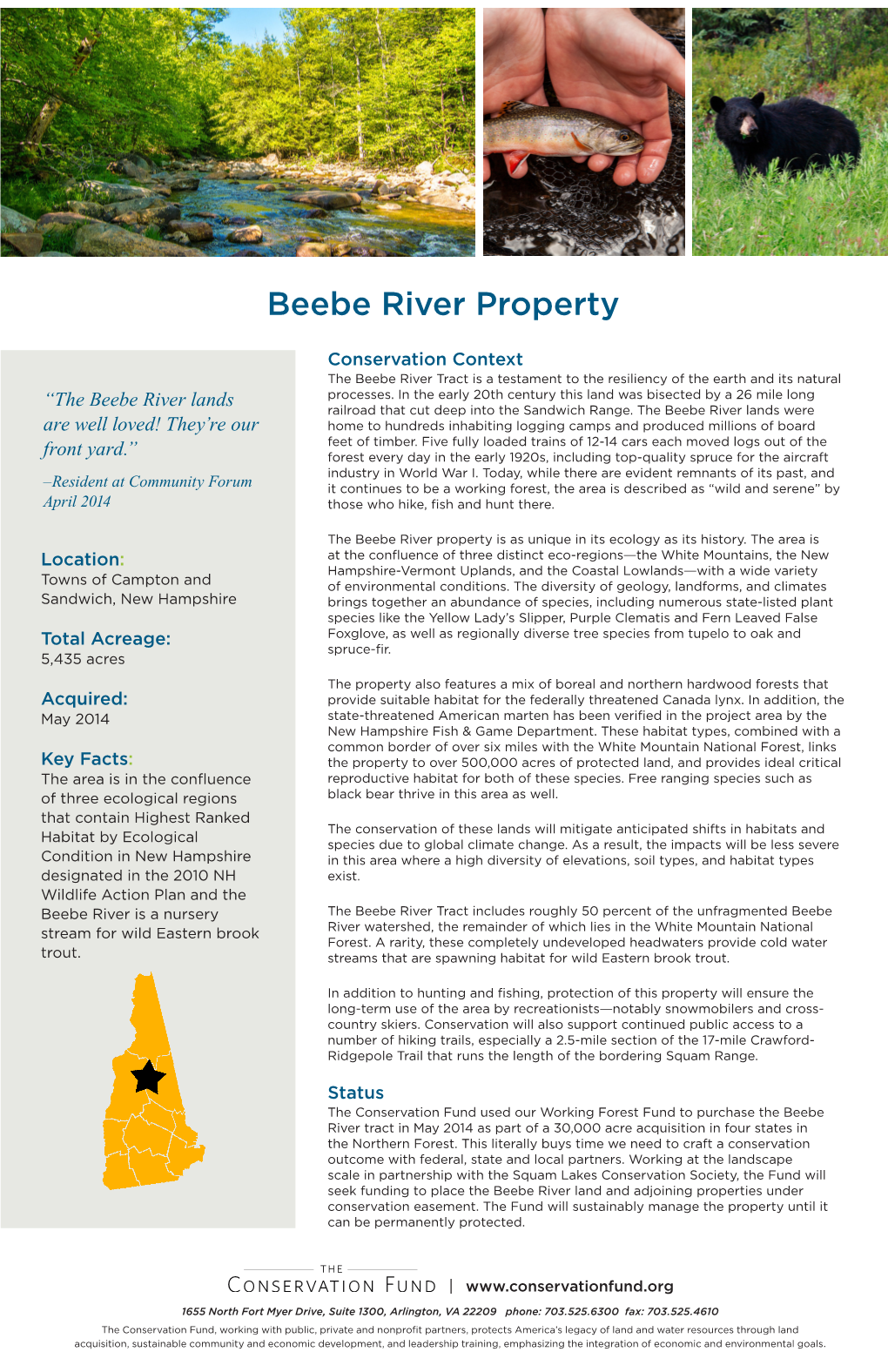 Beebe River Property