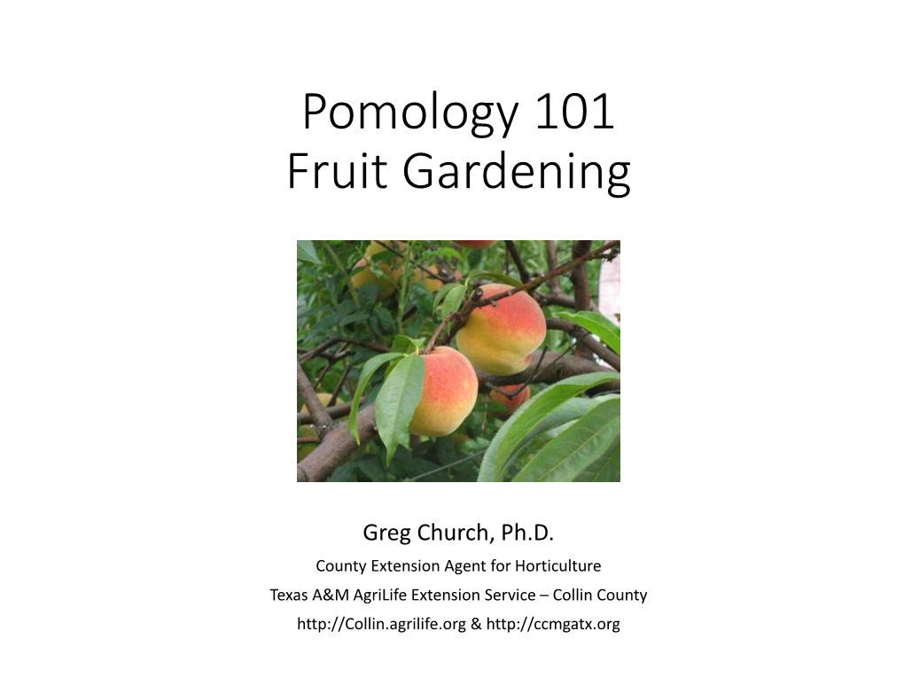 Pomology 101 Fruit Gardening