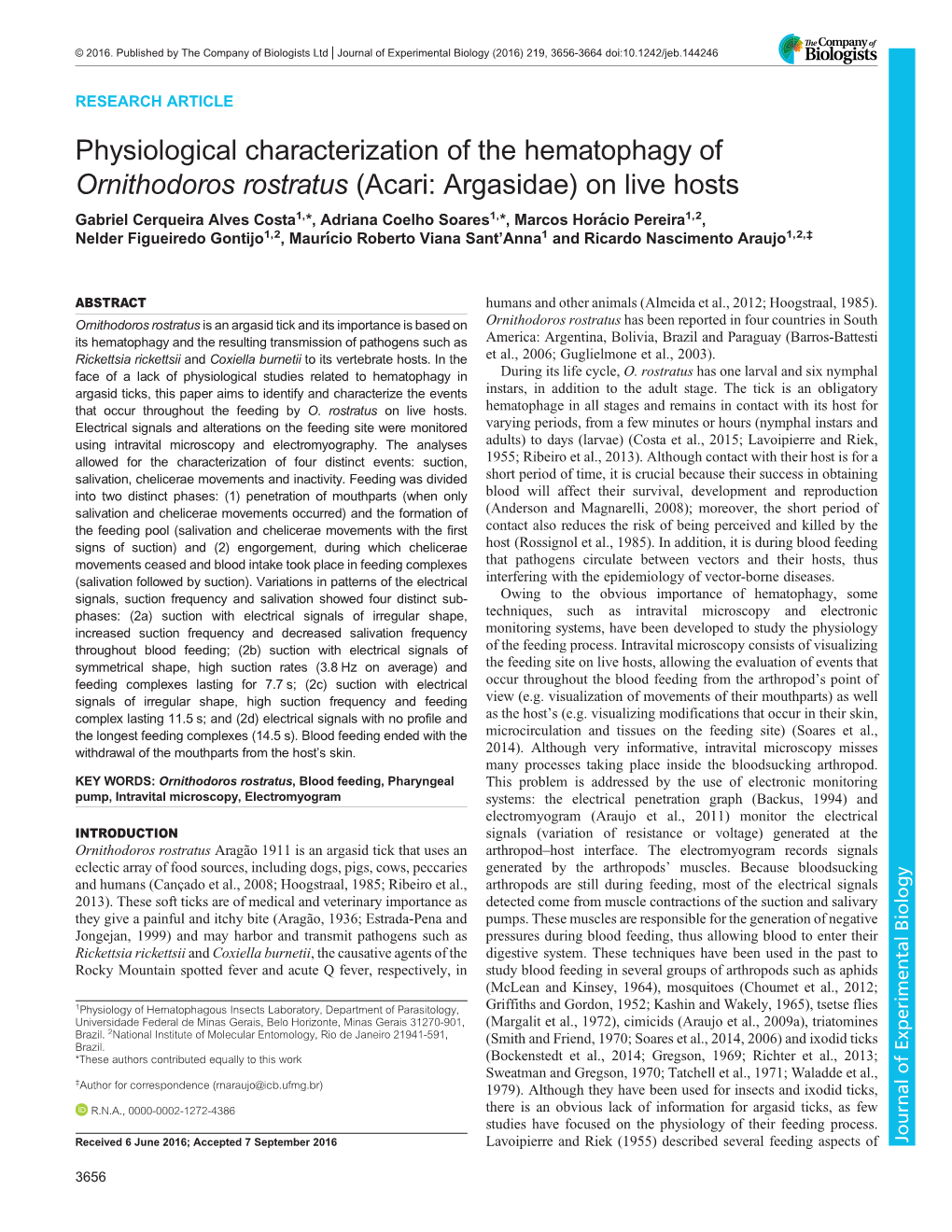 Physiological Characterization of the Hematophagy of Ornithodoros