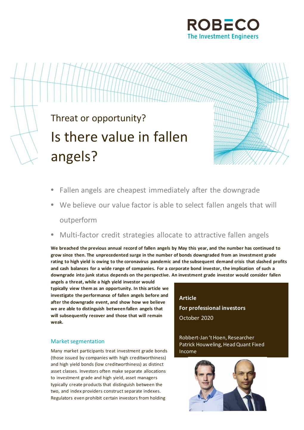 Is There Value in Fallen Angels?