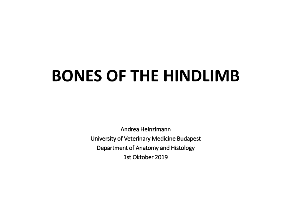 Bones of the Hindlimb