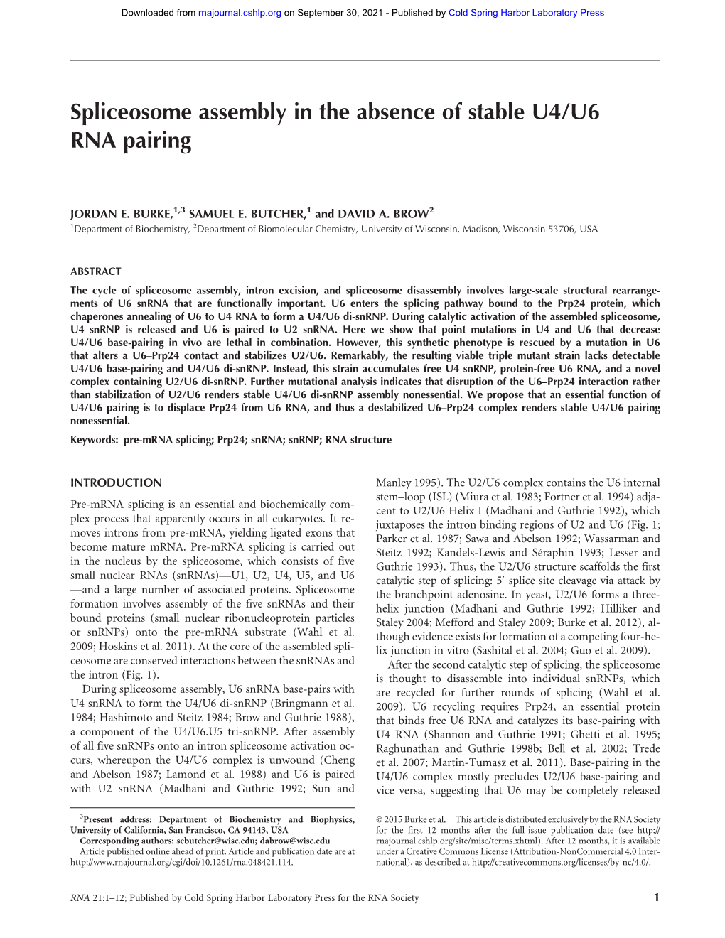 Spliceosome Assembly in the Absence of Stable U4/U6 RNA Pairing