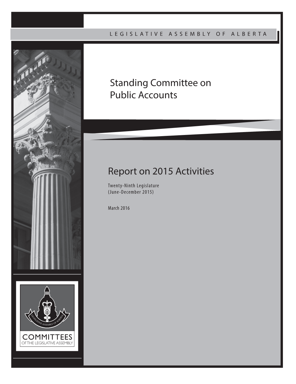 Report on 2015 Activities Standing