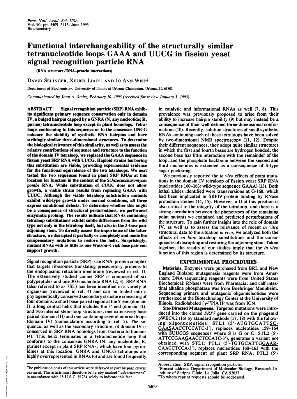 Tetranucleotide Loops GAAA and UUCG in Fission Yeast