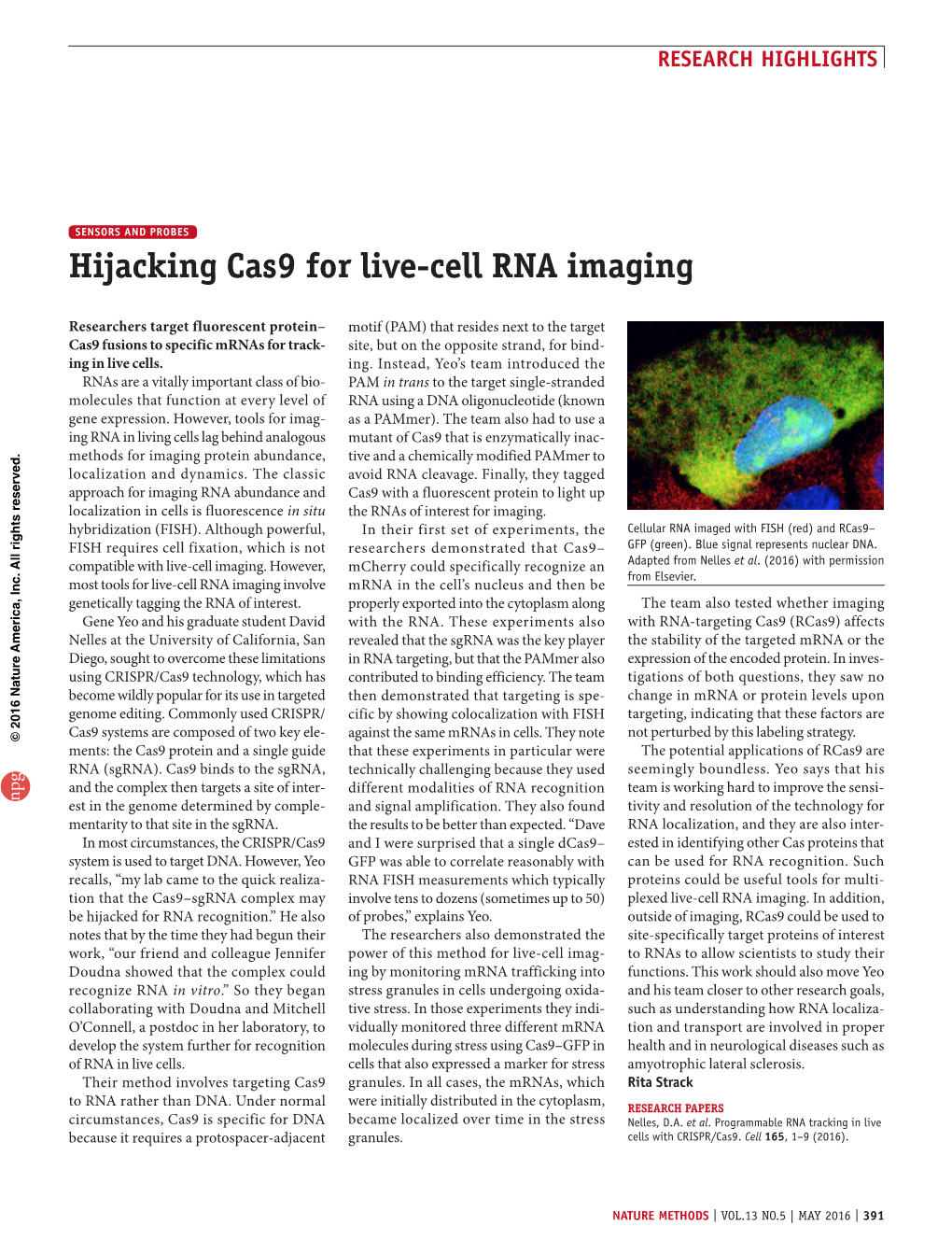 Sensors and Probes: Hijacking Cas9 for Live-Cell RNA Imaging