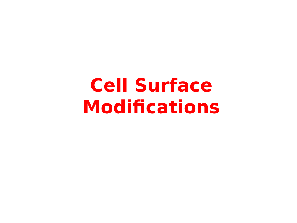 Cell Surface Modifications Morphological Changes in the Cell Surface (Cell Surface Modifications)