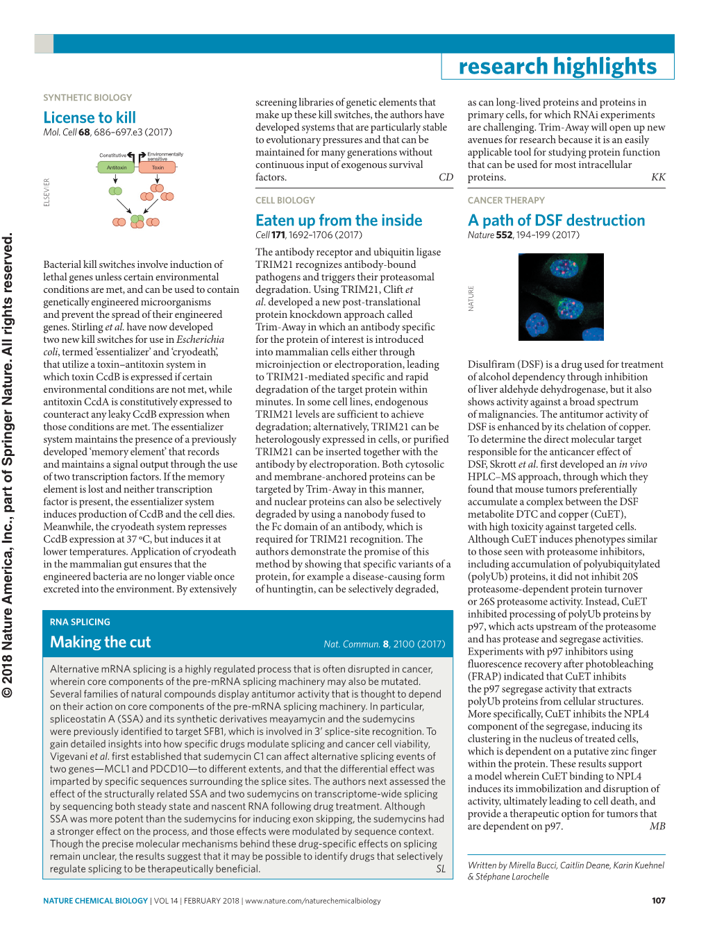 RNA SPLICING P97, Which Acts Upstream of the Proteasome Making the Cut Nat