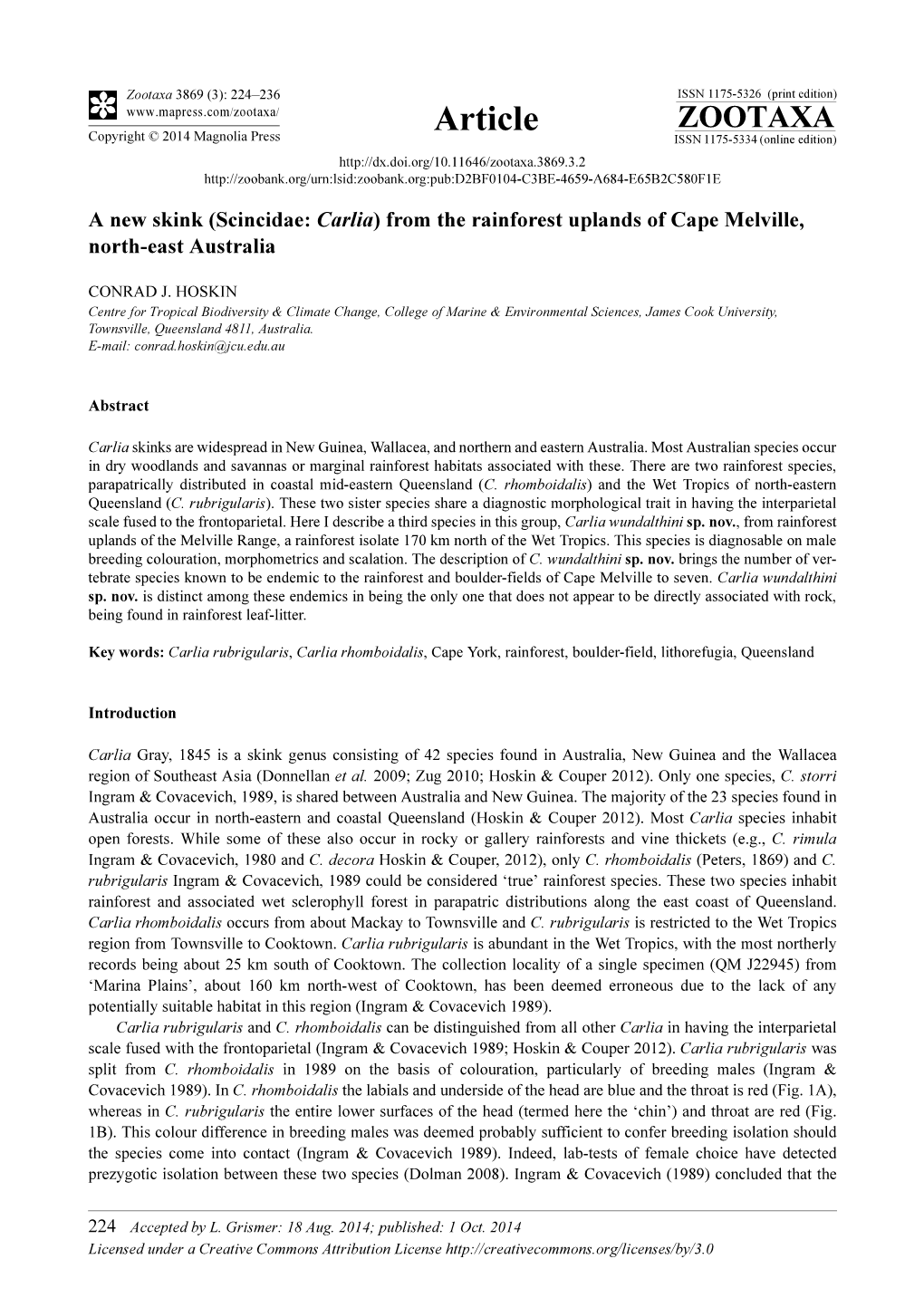 A New Skink (Scincidae: Carlia) from the Rainforest Uplands of Cape Melville, North-East Australia