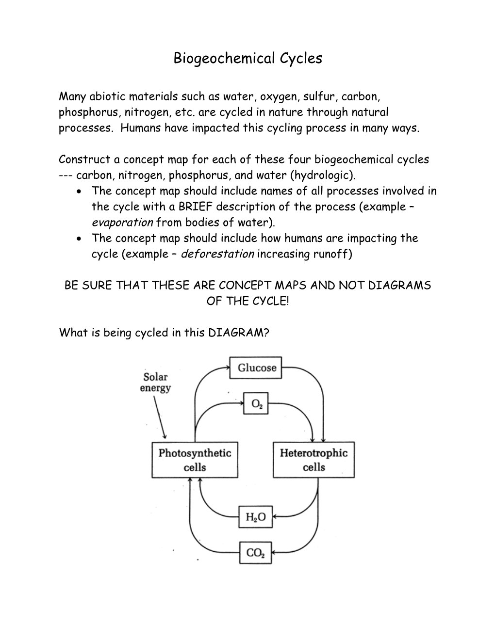 Biogeochemical Cycles s1