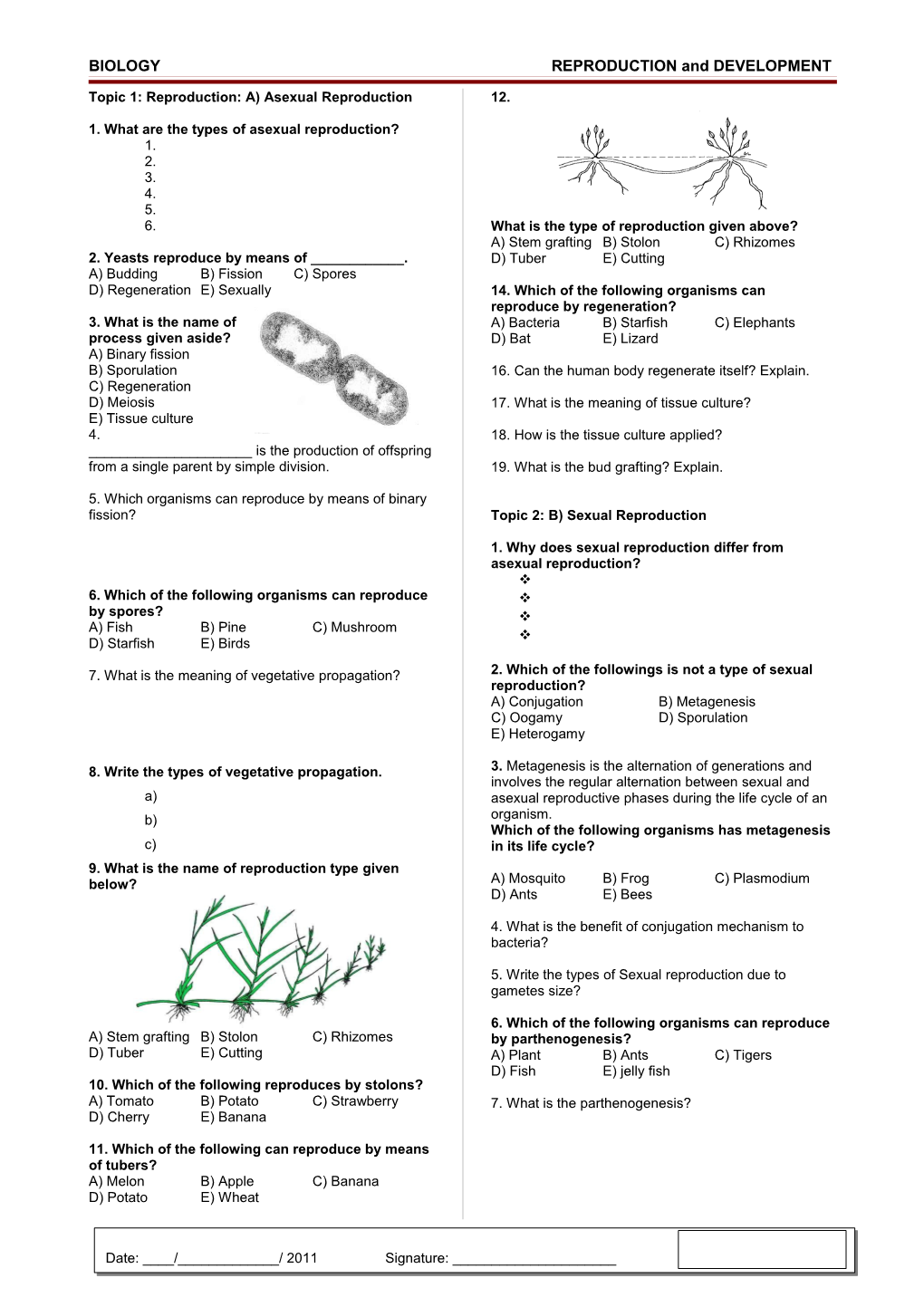 Topic 1: Reproduction: A) Asexual Reproduction