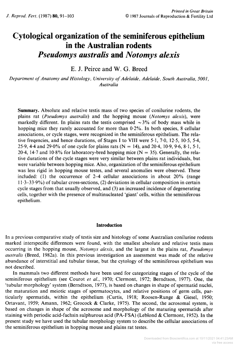 Cytological Organization of the Seminiferous Epithelium in the Australian Rodents Pseudomys Australis and Notomys Alexis E