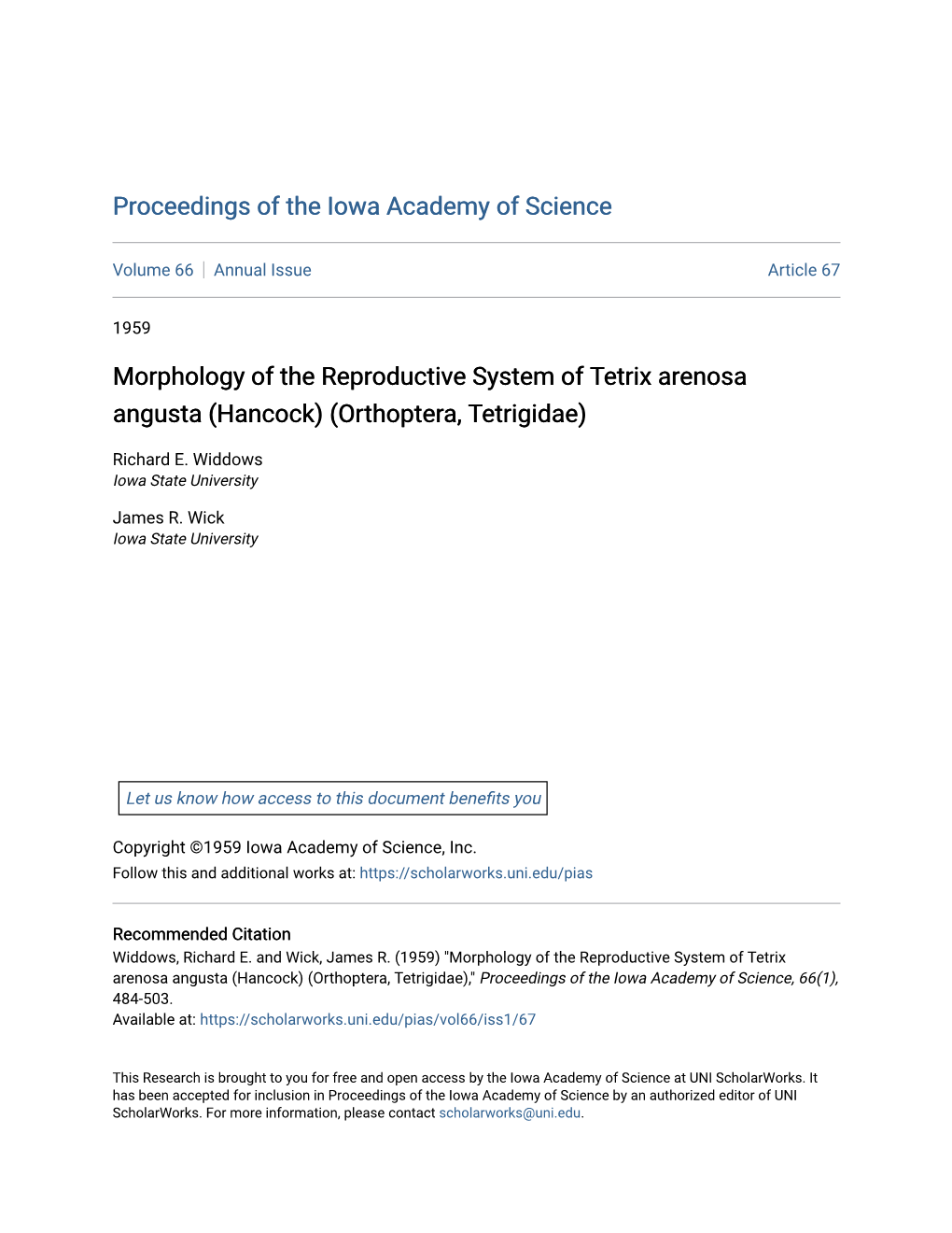 Morphology of the Reproductive System of Tetrix Arenosa Angusta (Hancock) (Orthoptera, Tetrigidae)