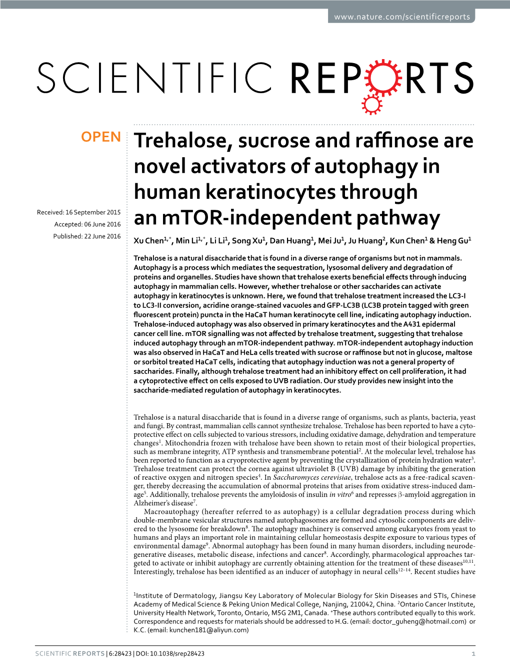 Trehalose, Sucrose and Raffinose Are Novel Activators of Autophagy In