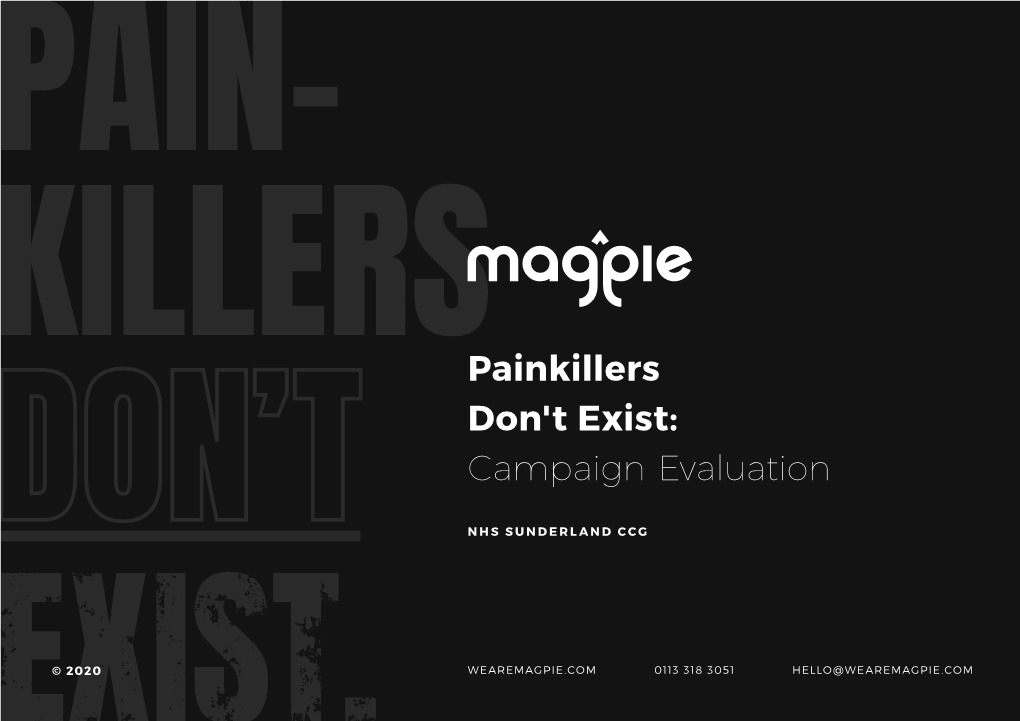 Painkillers Don't Exist: Campaign Evaluation