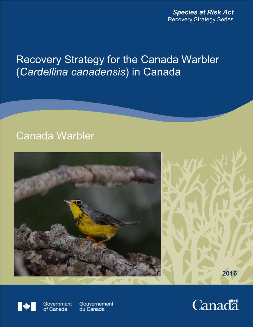 Recovery Strategy for the Canada Warbler (Cardellina Canadensis) in Canada