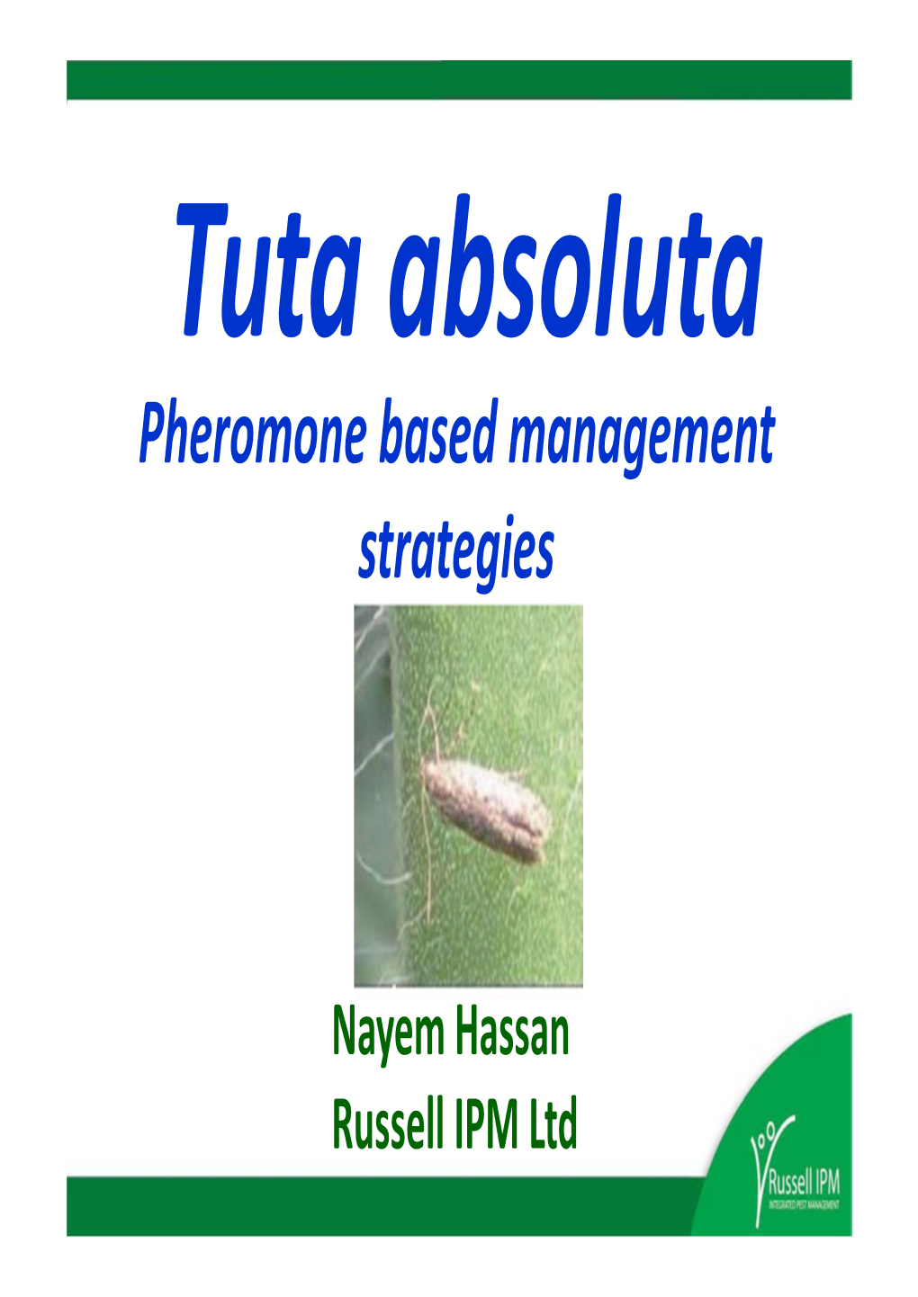 Pheromone Based Management Strategies