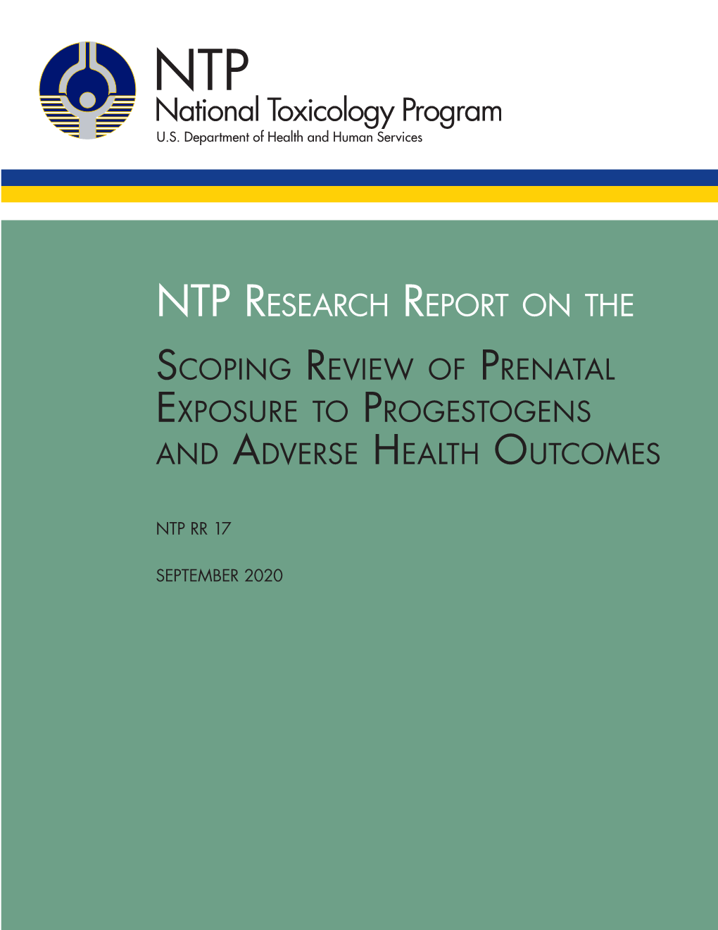 RR-17: Scoping Review of Prenatal