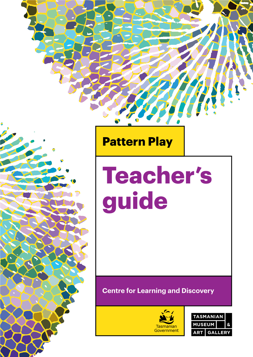 Pattern Play Teacher's Guide