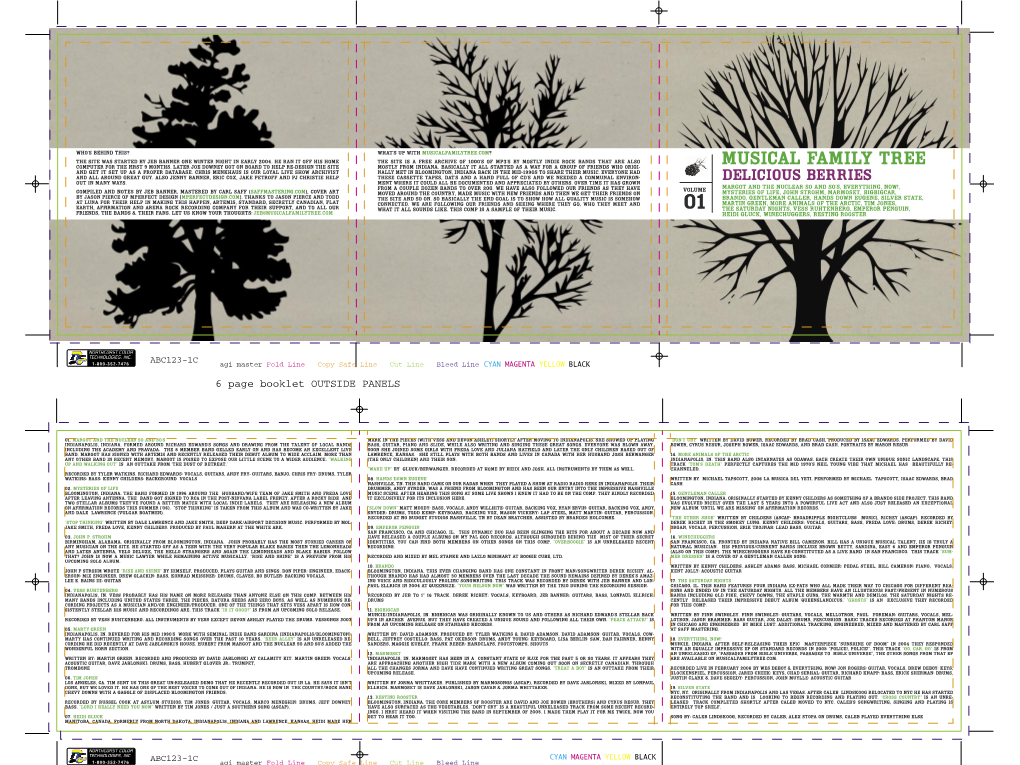 MUSICAL FAMILY TREE and Get It Set up As a Proper Database