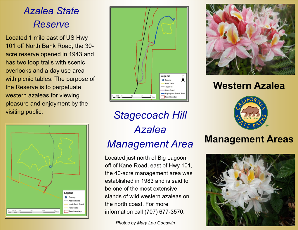 Stagecoach Hill Azalea Management Area