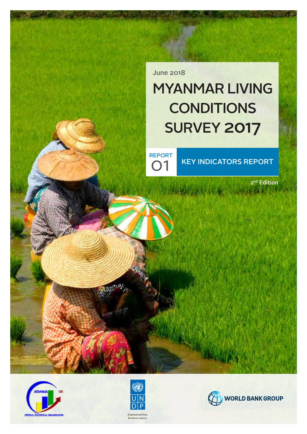 2017 Myanmar Living Conditions Survey