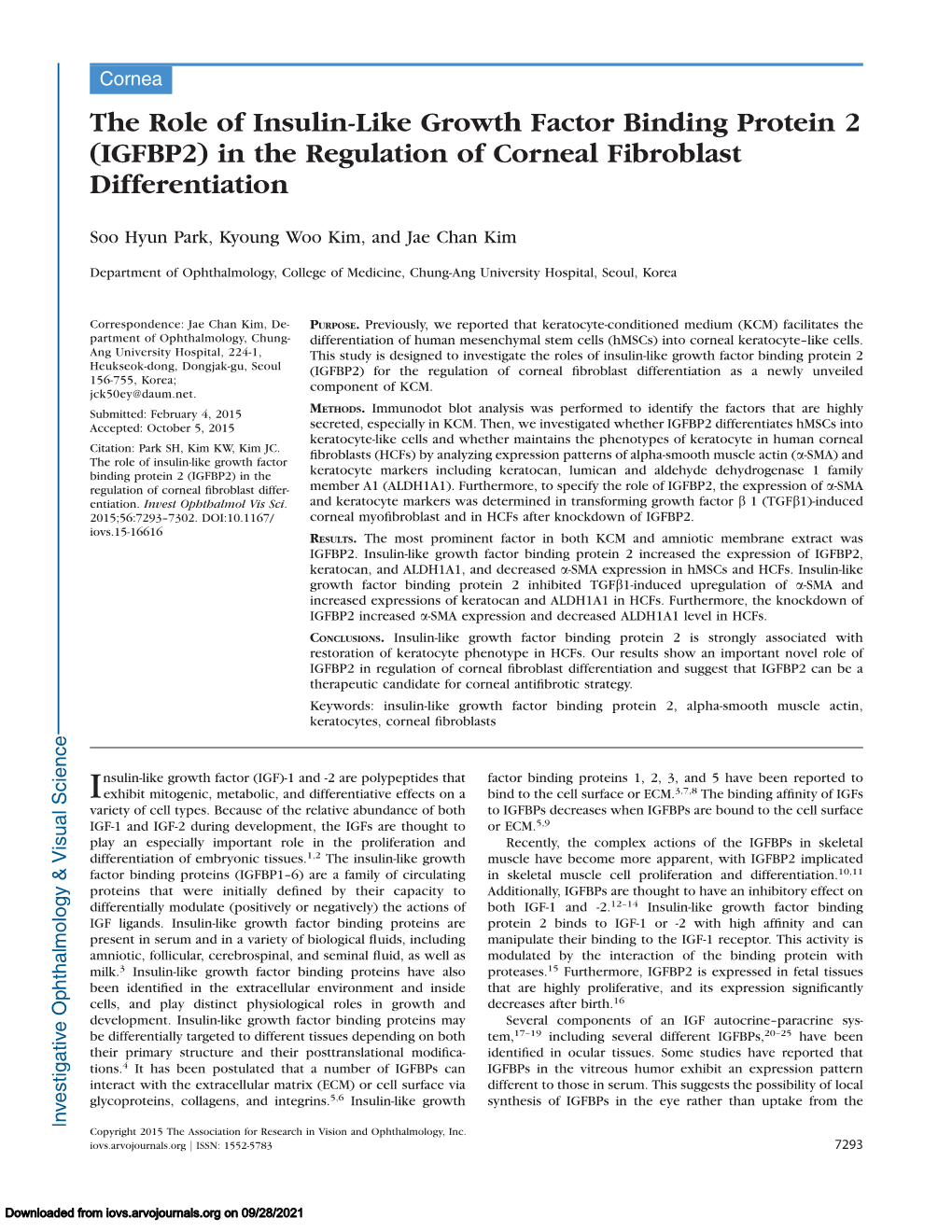 The Role of Insulin-Like Growth Factor Binding Protein 2 (IGFBP2) in the Regulation of Corneal Fibroblast Differentiation