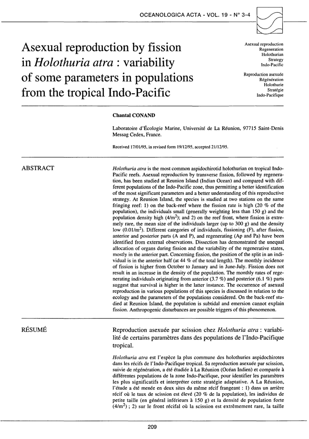 Asexual Reproduction by Fission in Holothuria Atra