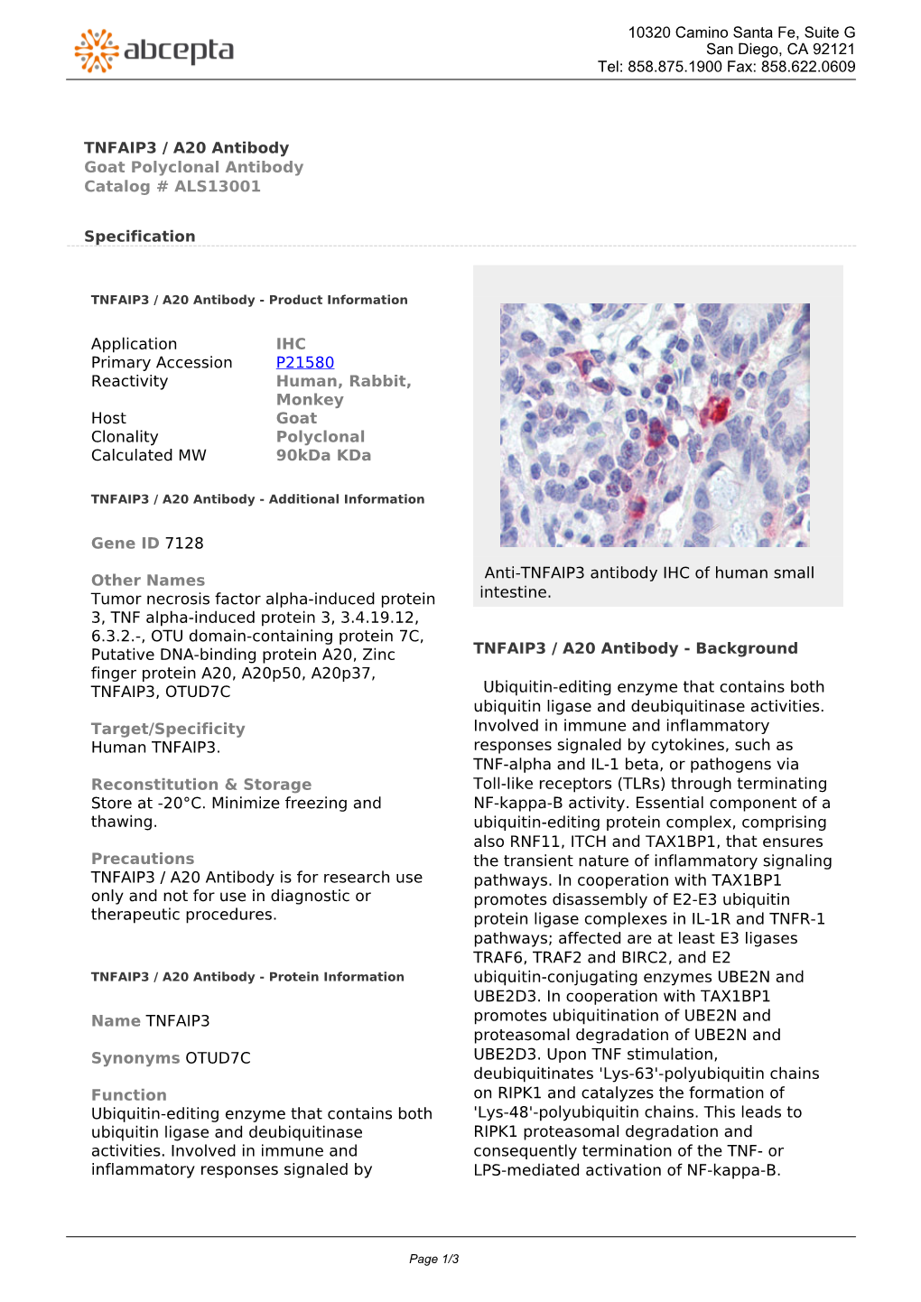 TNFAIP3 / A20 Antibody Goat Polyclonal Antibody Catalog # ALS13001