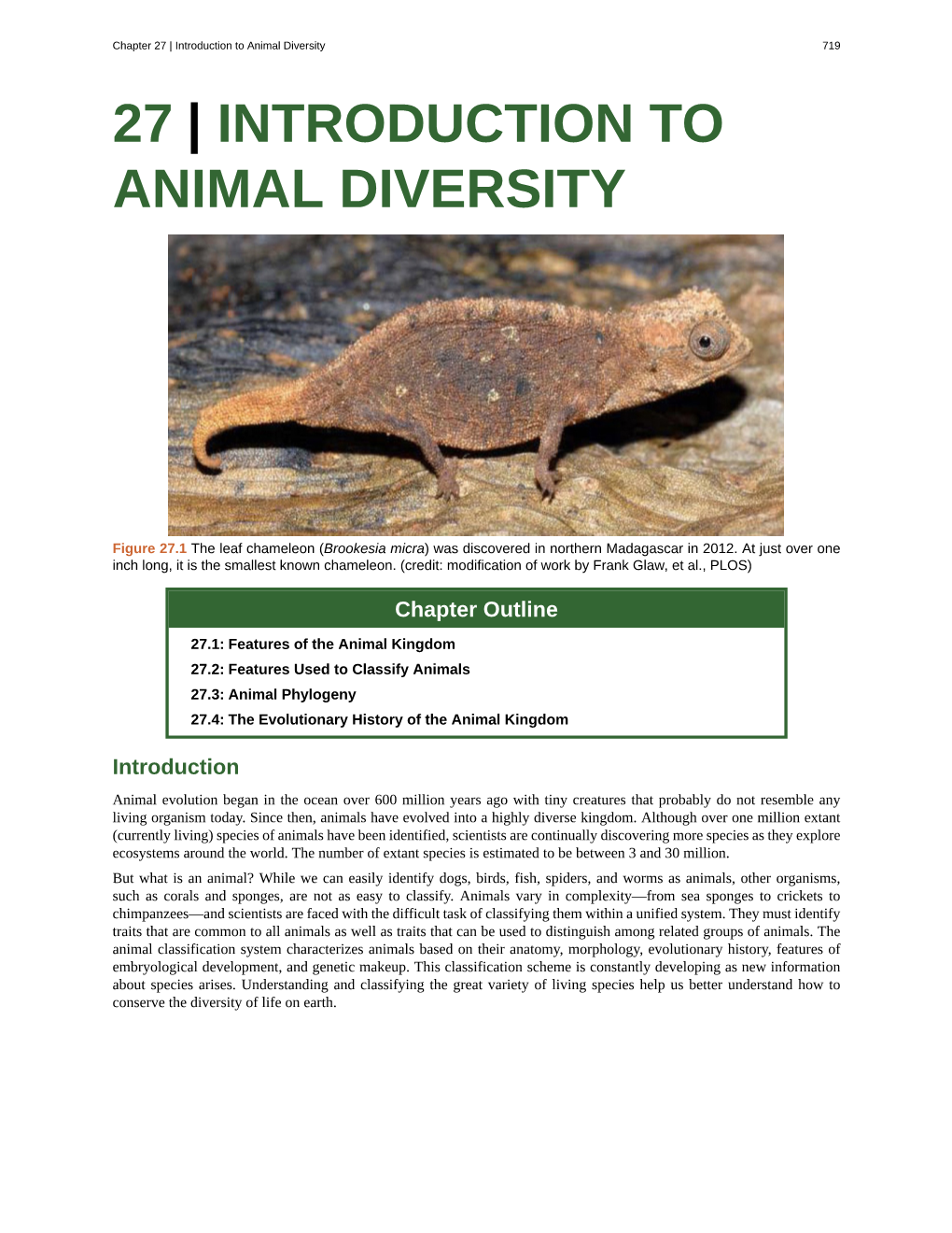 27 | Introduction to Animal Diversity 719 27 | INTRODUCTION to ANIMAL DIVERSITY