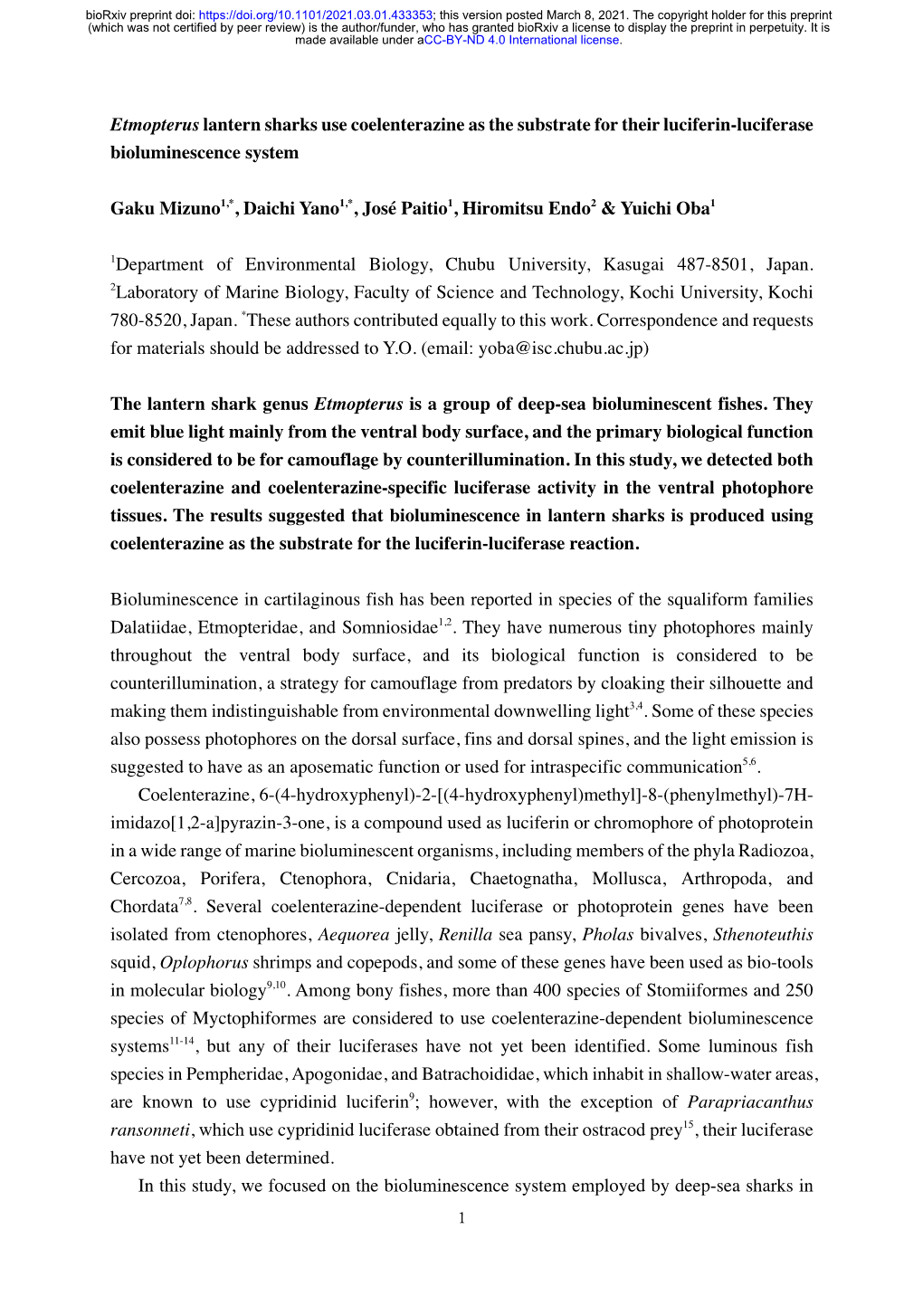 Etmopterus Lantern Sharks Use Coelenterazine As the Substrate for Their Luciferin-Luciferase Bioluminescence System